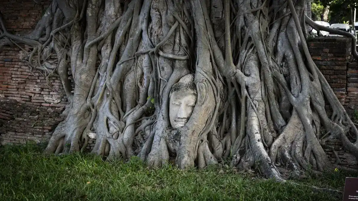 Ayutthaya